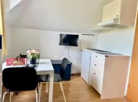 City Apartment with Free Parking - Vienna South