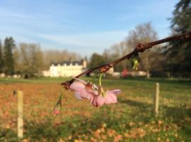Château de la Saulinière โรงแรมในKain