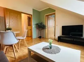 Gemütliche Dachgeschosswohnung -Waldstraßenviertel Leipzig