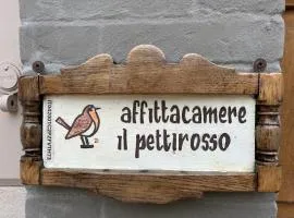 Il Pettirosso