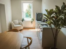 Staylight Apartment in Celle - 3 Schlafzimmer, zentrale Lage am Französischen Garten, inkl Parkplatz, Küche und Kaffee