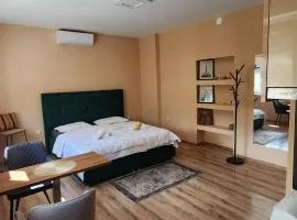 Studio Apartman Tina