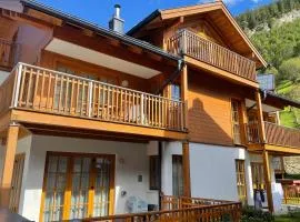 Anna 1 by SMR Rauris Apartments - inc Spa and near Gondola