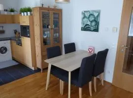 Daniela 8 by SMR Rauris Apartments - inc Spa and near Gondola