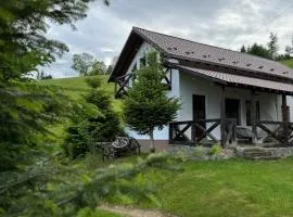 Panoramic House