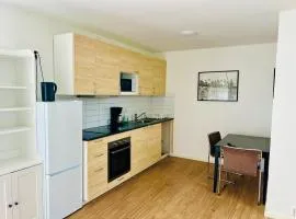 Cozy 5 rooms apartment Landskrona city