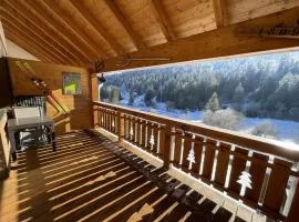 Bel appartement T3 avec balcon sud et wifi, proche pistes - FR-1-787-130