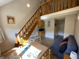 Charmant Duplex pour 5 pers., Wi-Fi & Parking au Lioran - FR-1-787-108