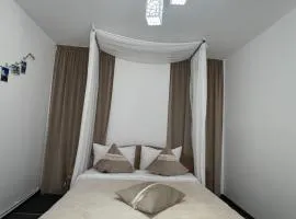 Casa cu Brazi