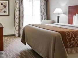 Comfort Inn & Suites University South