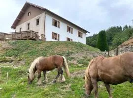 La Clé des Champs à Bussang - Gîte tout confort dans les Hautes Vosges