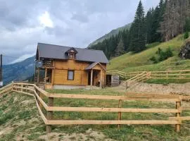 Najin Konak