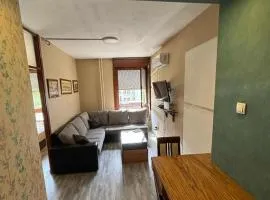 Apartman Selena