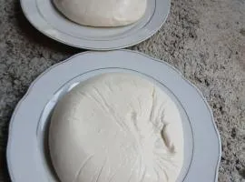 Bujtina Liqeni i Shkopetit