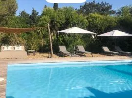 DOMAINE LES VINYES