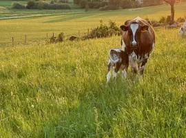 Resta farm bondgårdshotell