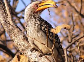 Mabula Game Reserve, ξενοδοχείο σε Welbekend