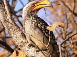 Mabula Game Reserve