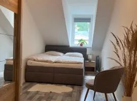 Apartmán Ambassador