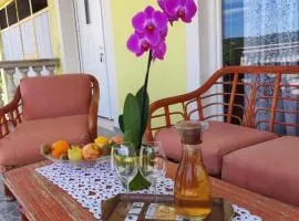 Apartment Duje Dazlina