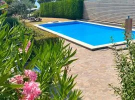 Bardolino Blue
