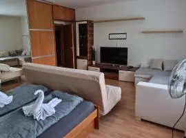 Apartment for rent near the center