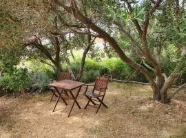 Apartman Anka