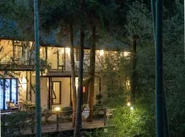 July Bamboo Hostel