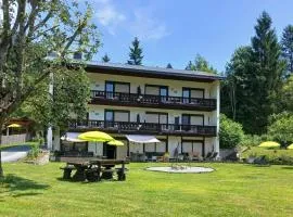Pension & Apartments Weissbriach