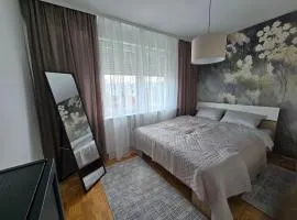 Flower Home Belgrade