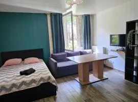 Studio cosy confort moderne