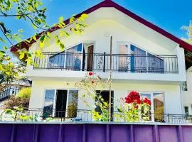 cottage in tsemi (Borjomi)