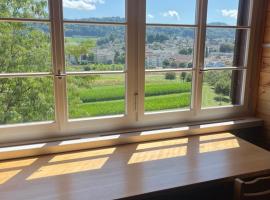 Mattenhof, Hotel in Flawil