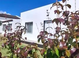 Pineapple Studio