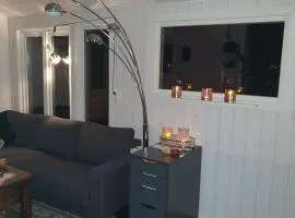 cozy cabin without water at lapphaungen