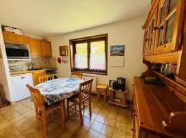 Chatel: 3 pièces, Terrasse, Animaux admis, Parking - FR-1-198-257