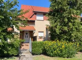 Apartment Pajtas 1 by Interhome