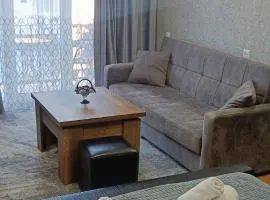 Borjomi Likani Apartment
