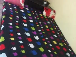 Mishraji Stay 78048-16682