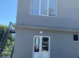 Samebaview