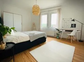 In Stuttgart heimisch werden