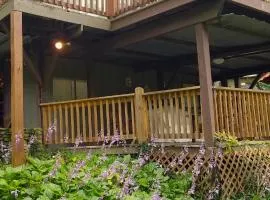 Hummingbird Hideaway - Lake Pets Hike Fish