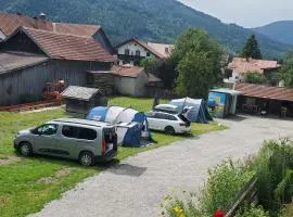 Biohof Dimper - Stellplatz, Campingplatz