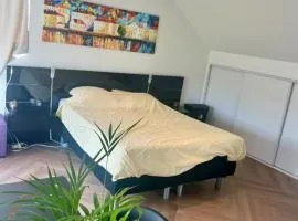 Ruime slaap kamer met werkplek en privé badkamer bij Jacqueline