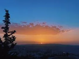 شقق رتيل