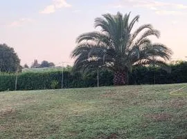 la finestra sul cortile 2