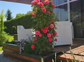 Ubytování pod Třešní