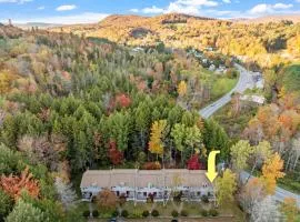 Mt Snow Retreat - Walk to brewery