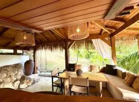 Cocotier, élégant T3 avec jardin tropical