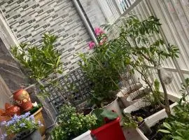 Hiwinwin Homestay Holiday